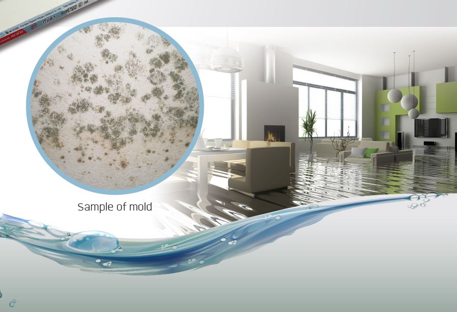 nimble_asset_Mold-Resistance-Gypsum-Board-MoldBloc-1