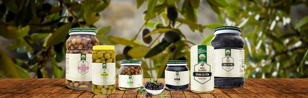 nimble_asset_zeytin_kucuk